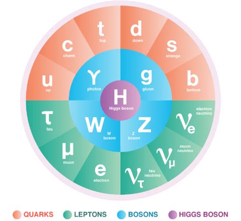 particle physics .